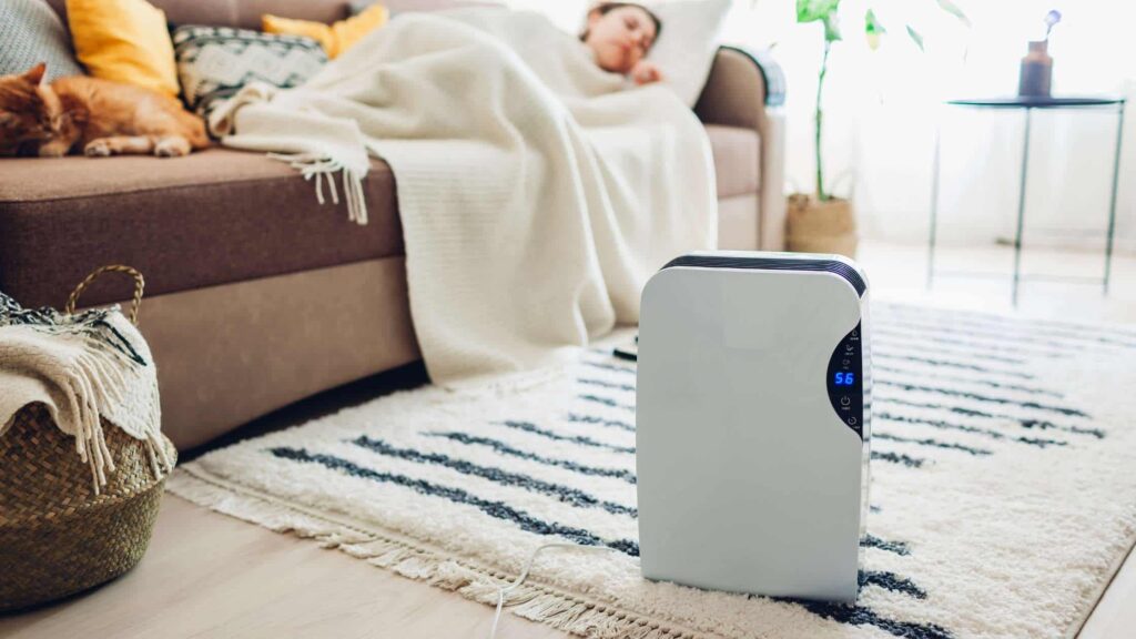 Best Dehumidifiers In India